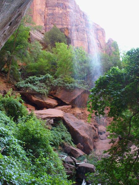 Pretty little falls at the Emerald Pools at Zion