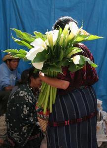 Lilies in the market 
