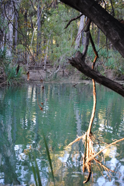 Adels Grove lagoon
