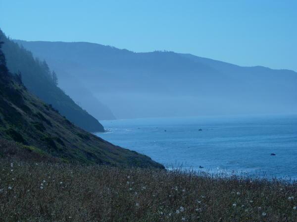 Morning on the Lost Coast