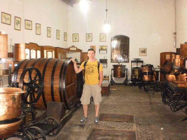 Wine museum