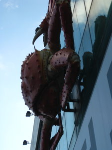Crab on Building