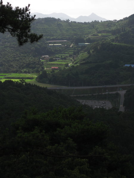 View of the Boseong valley 