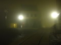Night Fog 7