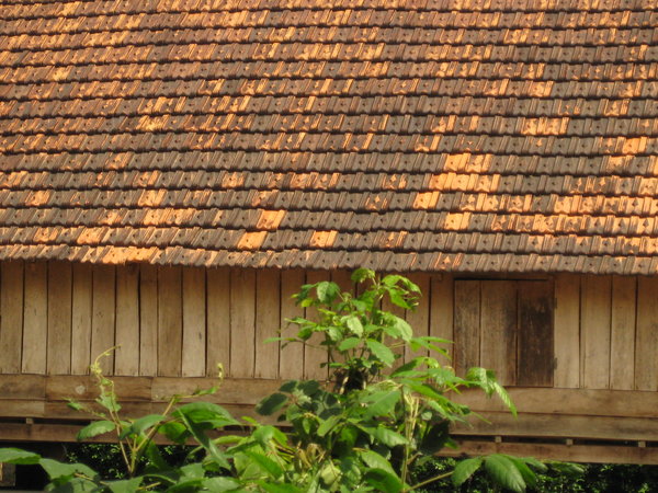 Stilt House Clay Roof