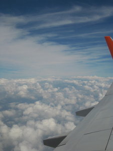 In Flight View