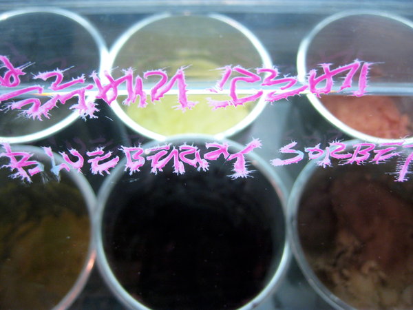 Ice Cream Selection