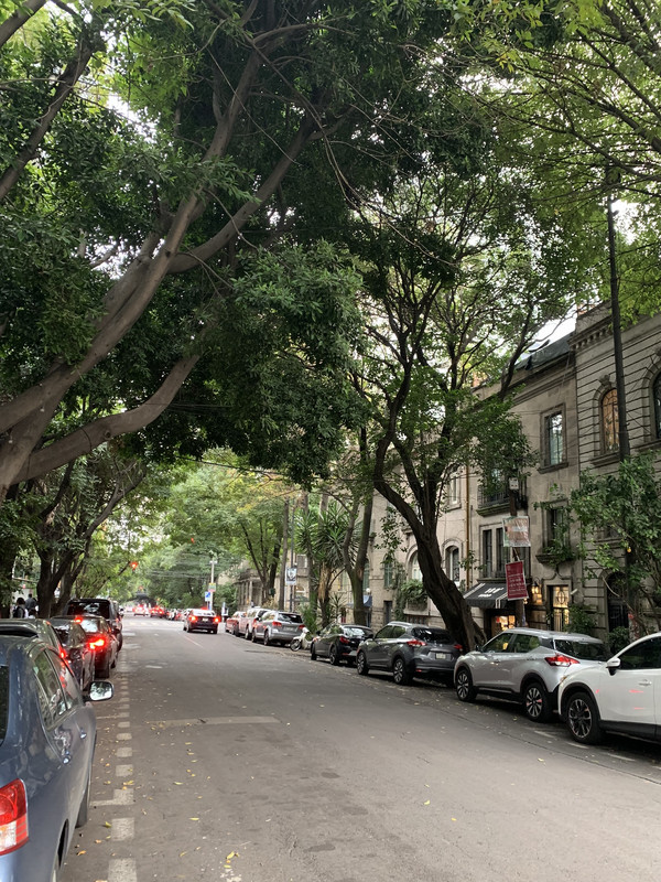 Streets in Condesa