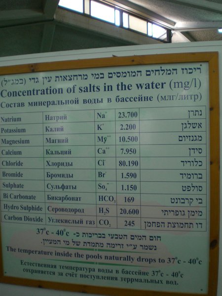 Salt and mineral content
