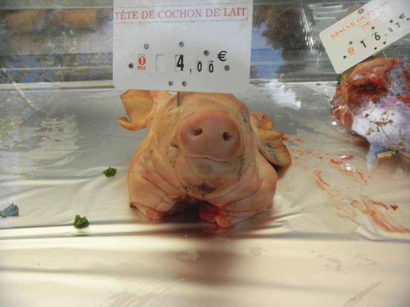Pig Head - only 4 euro