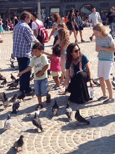 Feeding pigeons part 2
