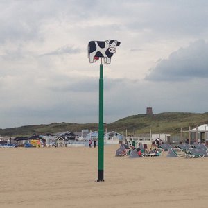 Markers so you don't lose your spot at the beach