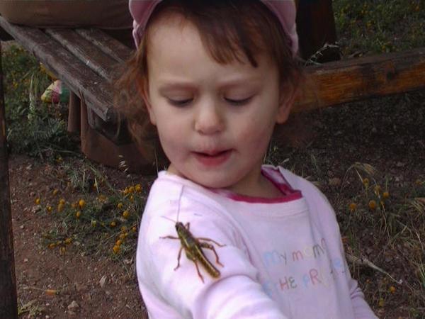 amina and a grasshopper