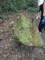 Moss covered chair