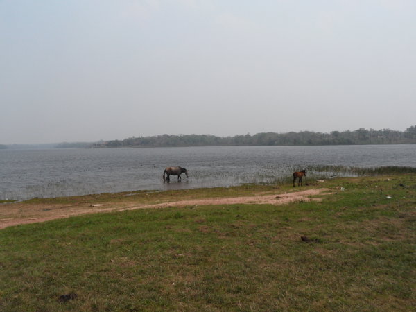 Lake near Conception