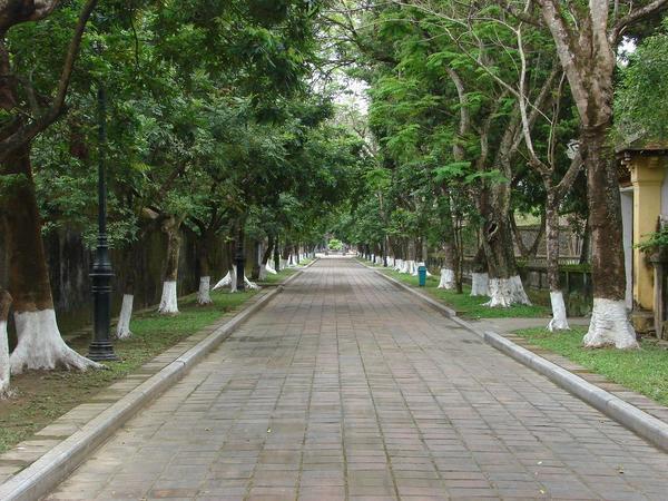 Tree-lined Walkways