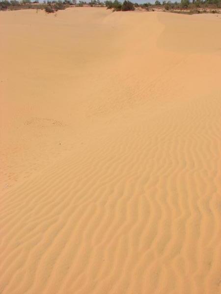 Red Dunes #1