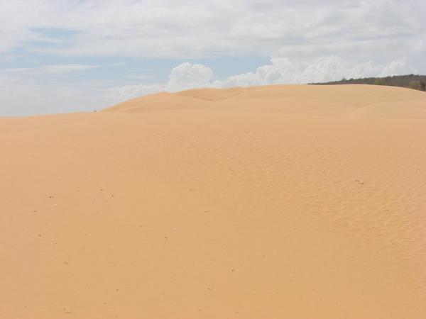 Red Dunes #2