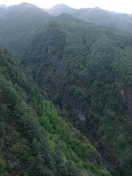 Gorge Between Ridges