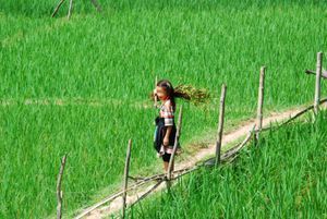 Young Miao Girl