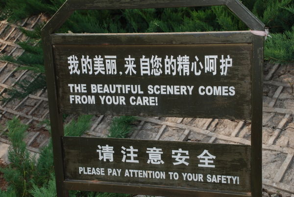 Wall Chinglish #7