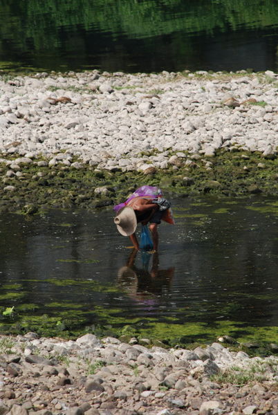 Fisherman in the Li River