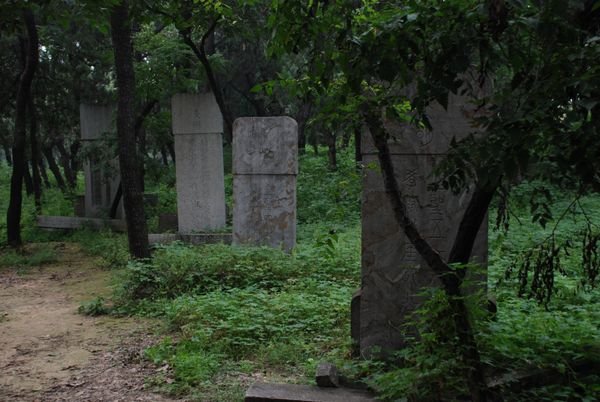 More Graves Hidden in the Forest
