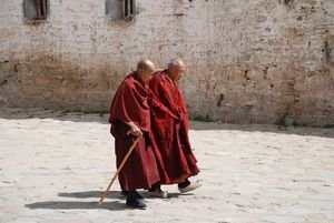 Monks at Sera