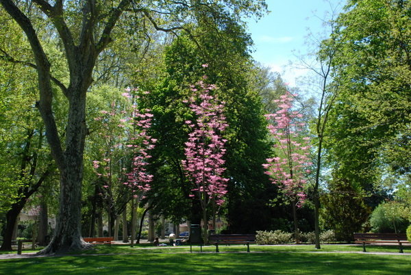 Park by the Rhone