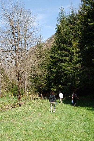 Walking in the Countryside