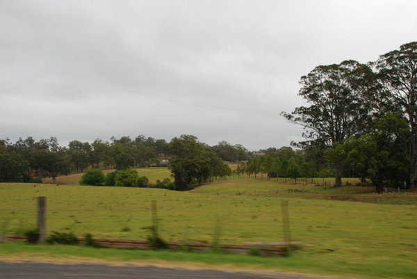 The Australian Countryside