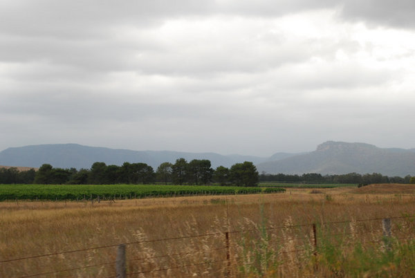View of the Hunter Valley
