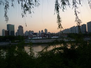 View from Olympic Park