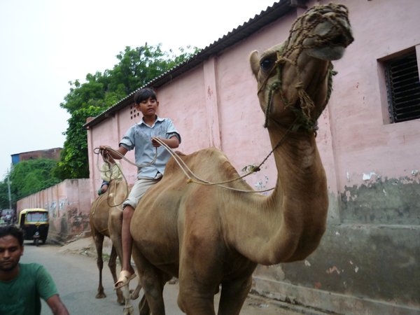 Transport in Agra