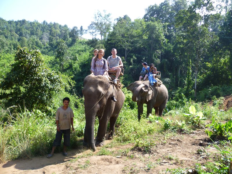 Elephant Riding in Chiang Mai