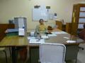 Bindu at work