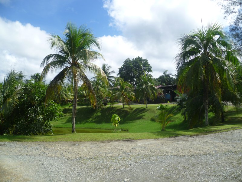 Padagan Dii Resort in Sepilok