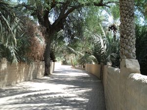 One of the roads in the Oasis