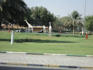 ZOO Roundabout