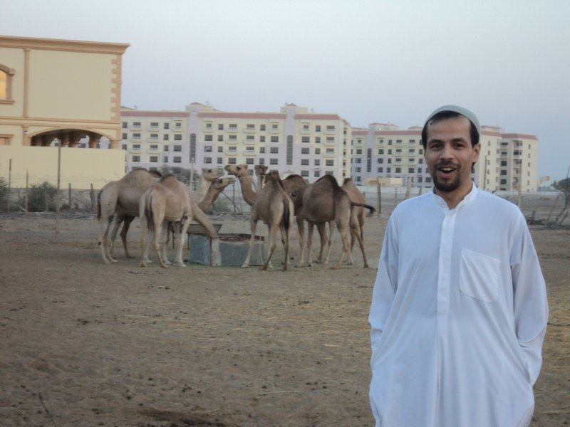 A camel Herder