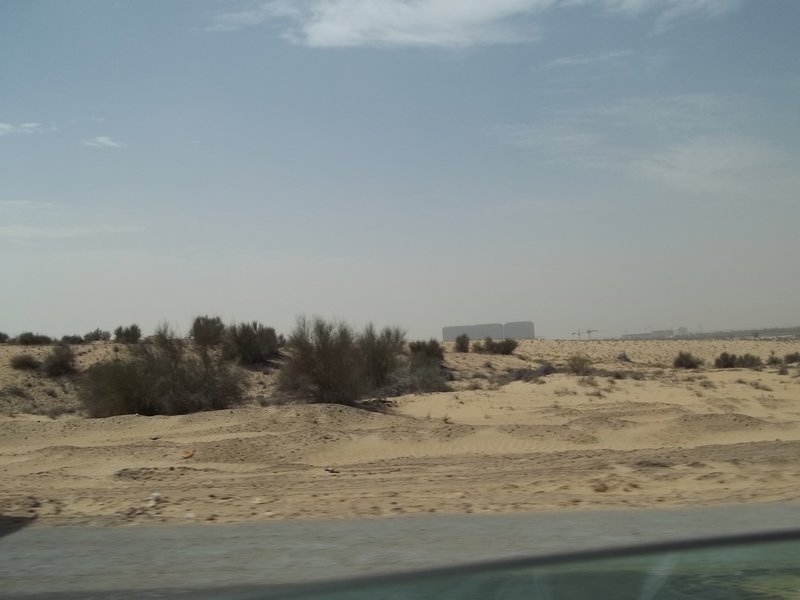 desert between Al Ain and Dubai