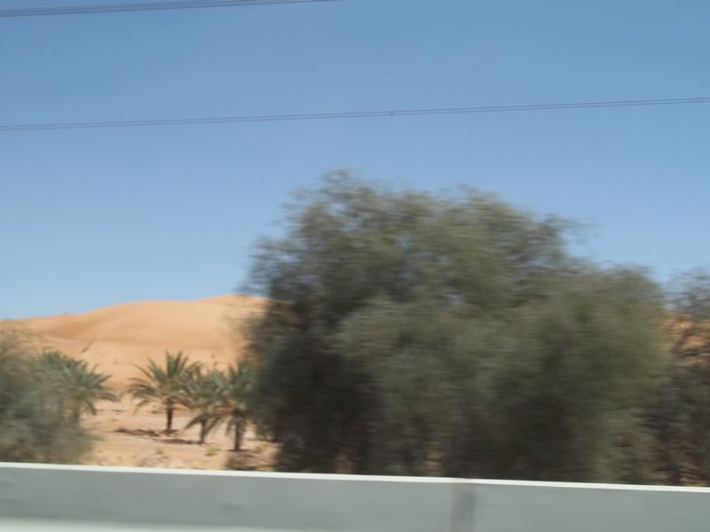 Desert Al Ain