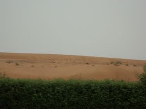 red sand dunes Al Ain