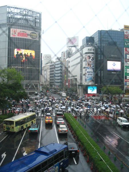 Busiest Intersection in the World