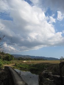 Clouds, river, and horses