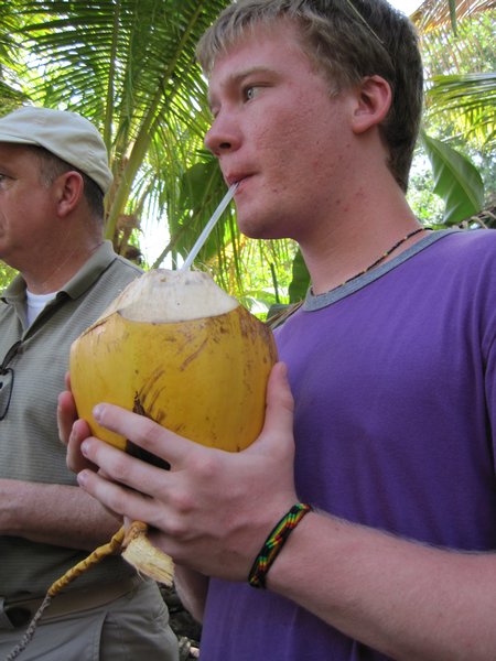 Fresh coconuts!
