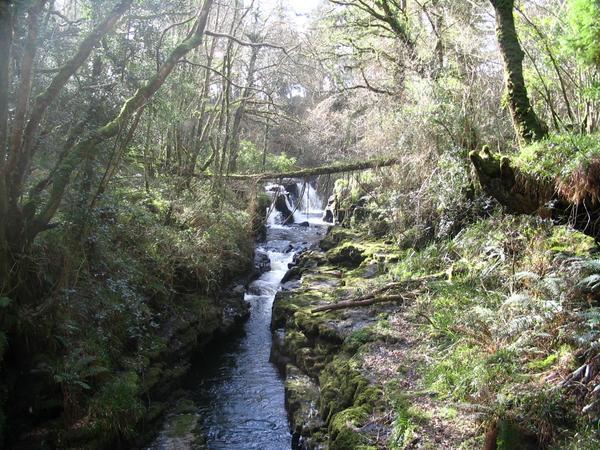 The Clare Glens