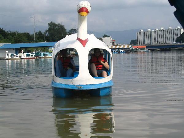 A Kind of Swan Lake
