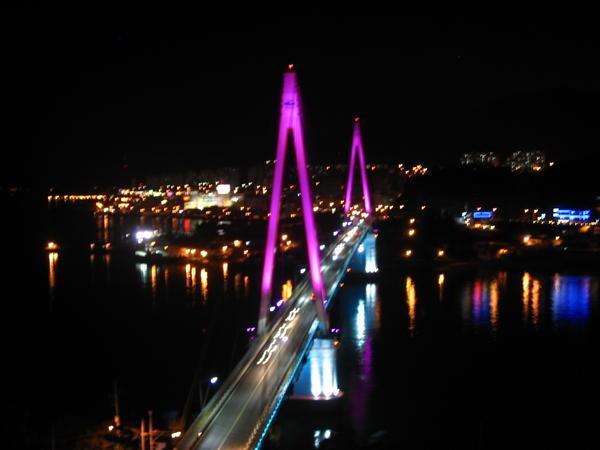 Dolsan Bridge by Night