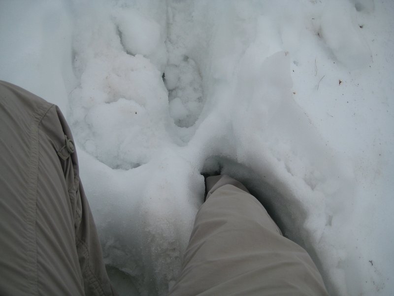 Snow was a little deep!